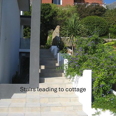 Camps Bay Cosy Accommodation ケープタウン エクステリア 写真